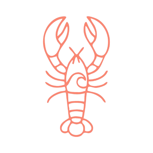 Pink Lobster Studio